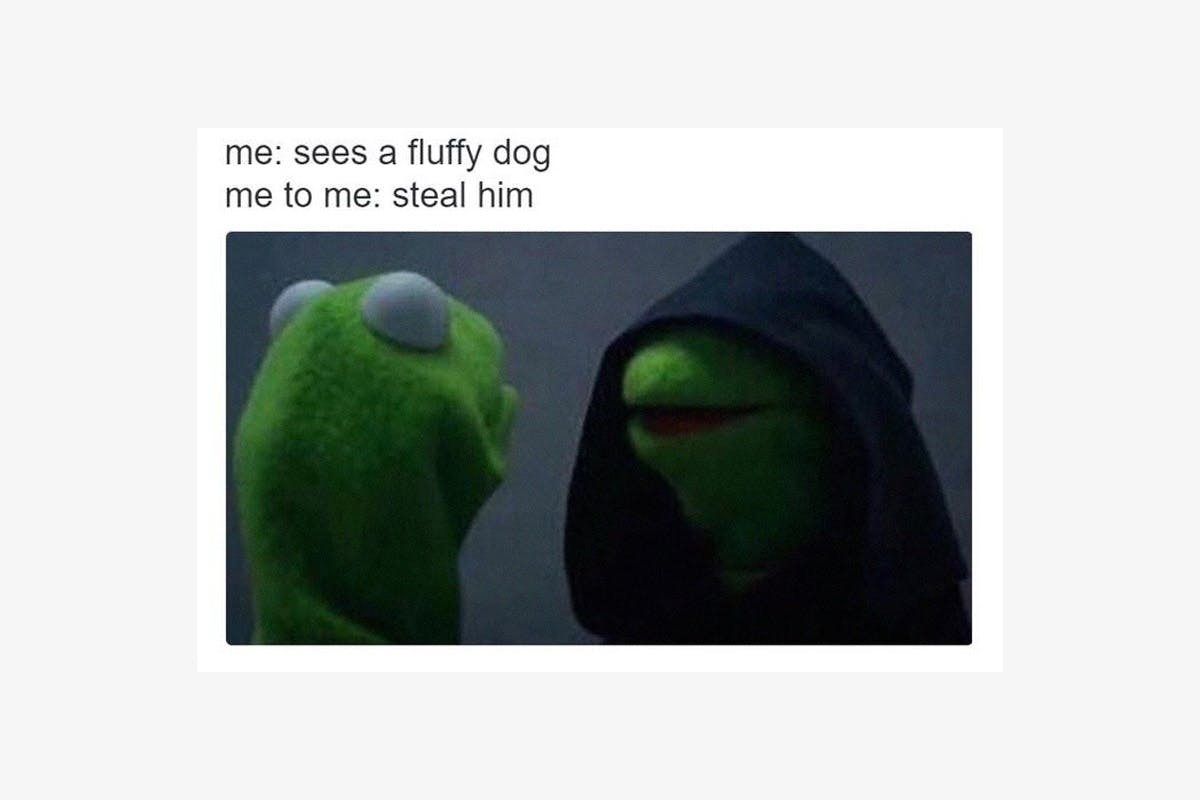 2016 Memes: The Definitive Recap