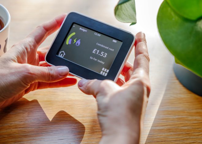 Are Smart Meters Worth It?