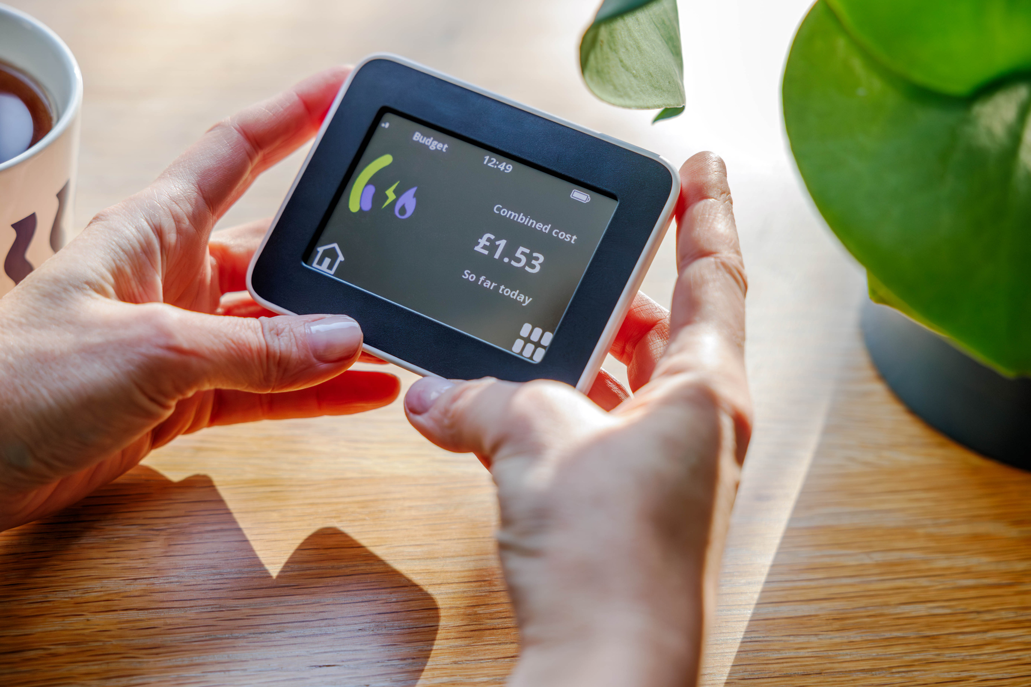 Are Smart Meters Worth It?