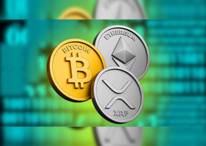 Crypto Crash Today: What You Need to Know Now