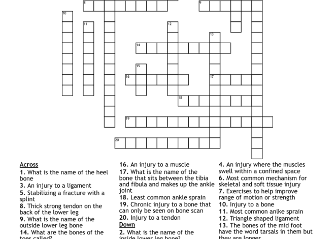 Leg Crossword Clue