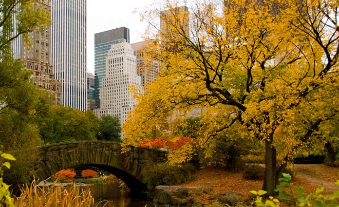 Best Time to Travel to New York