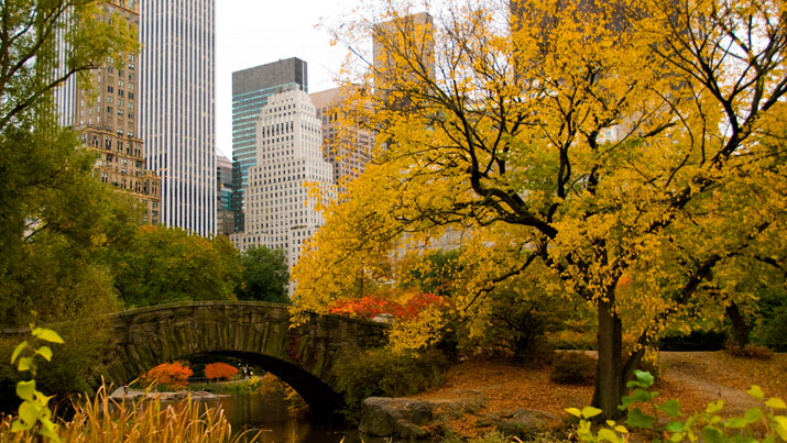 Best Time to Travel to New York