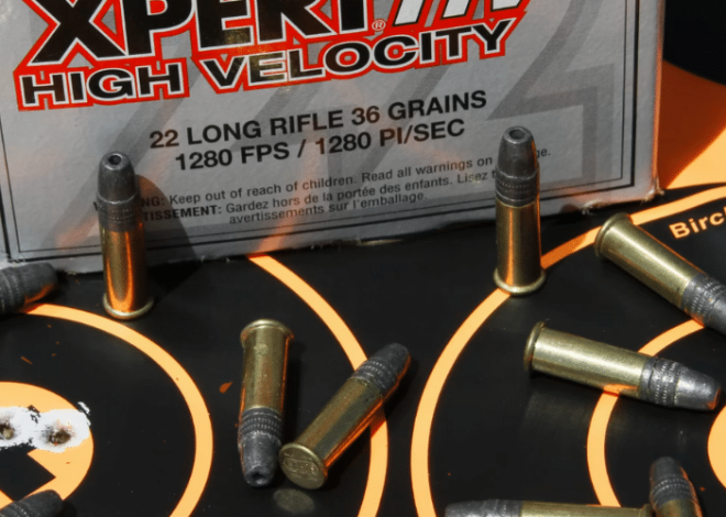 Bullet Speed: How Fast Do Bullets Travel (MPH)?