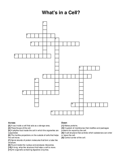 Immune System Protein Crossword Clue