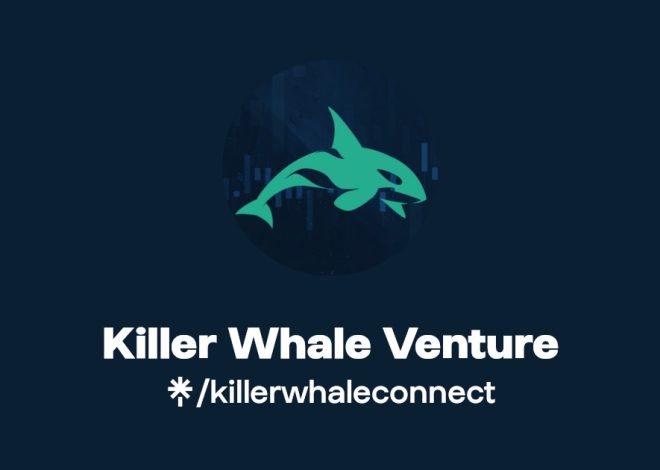 Killer Whale Intelligence: How Smart Are They?