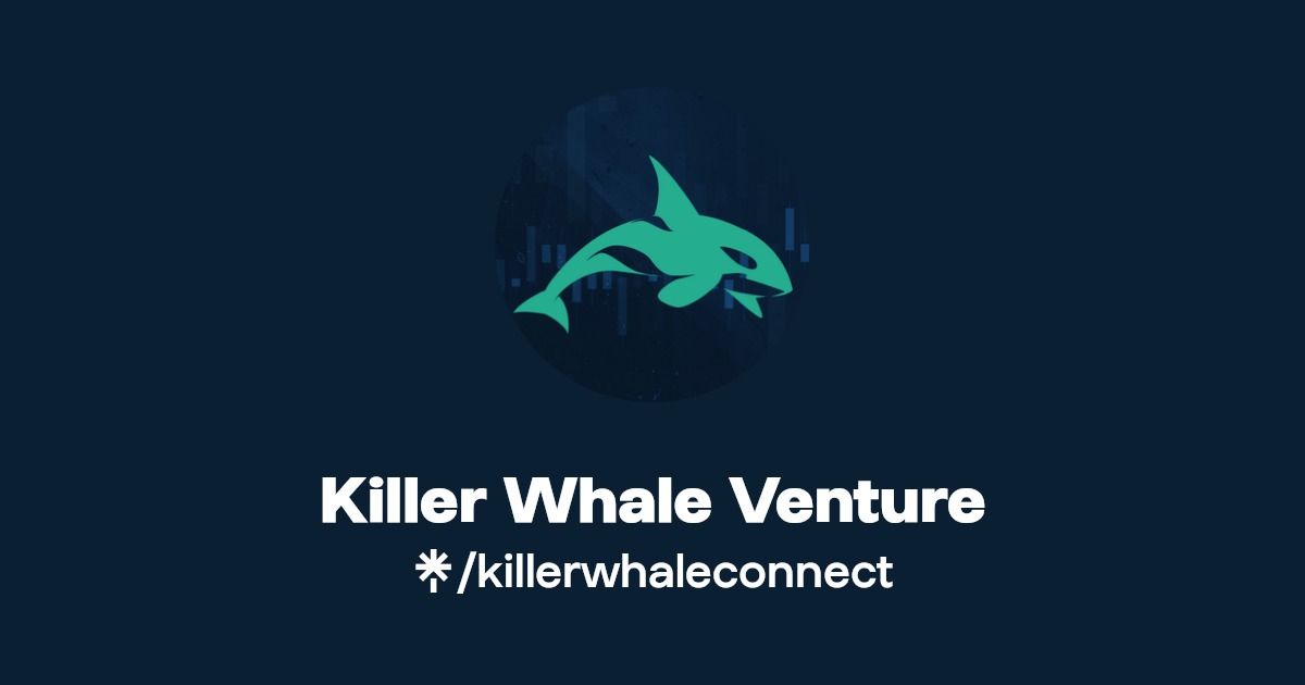 Killer Whale Intelligence: How Smart Are They?
