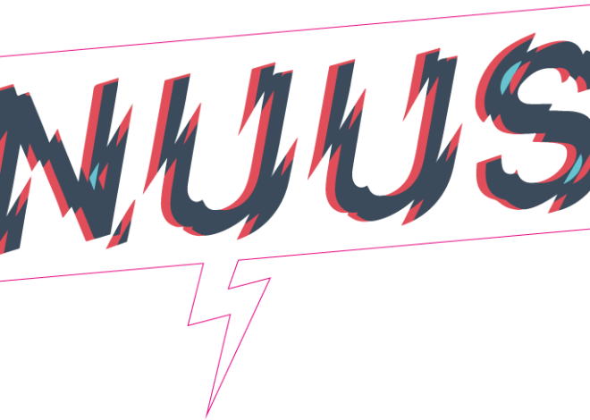 Net Nuus WordPress Title