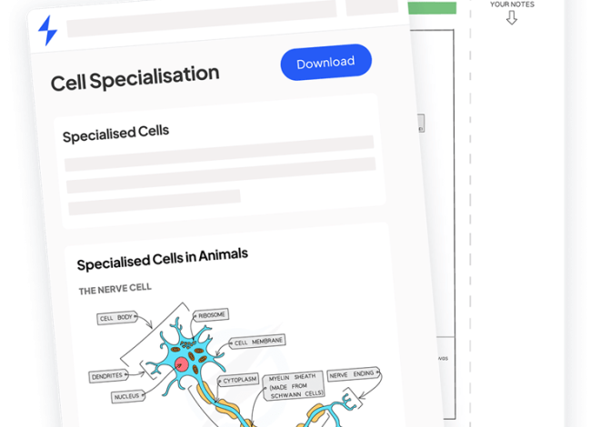 What is a Programming Construct?